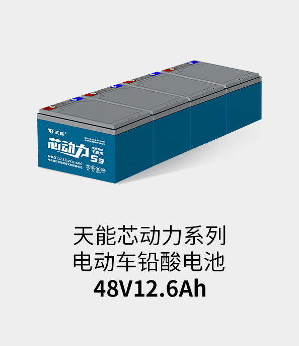 天能电池48v12ah